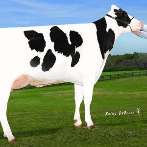 Pine - Tree Advisor-ET - Semen - Convencional - Leite - Holandês