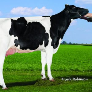 Fb 6871 Achv Celtic-ET - Semen - Convencional - Leite - Holandês