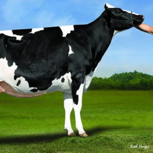 Wilra Coleman-ET - Semen - Convencional - Leite - Holandês