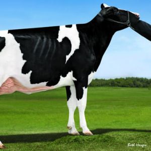 Mr Terra - Linda Cornell-ET - Semen - Convencional - Leite - Holandês