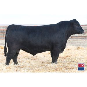 Ld Caprock - Semen - Convencional
