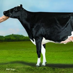 Denovo 16457 Halstead-ET - Semen - Convencional - Leite - Holandês