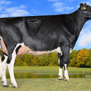 Wilder Home SX F - Semen - Sexcel - Leite - Holandês