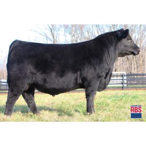 4 Sons Wrecking Ball - Semen - Convencional