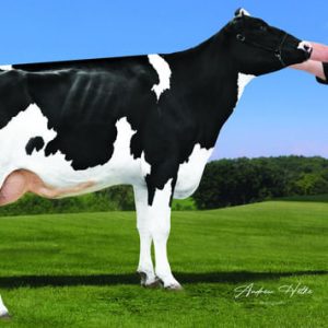 Z-Happy Winterfell-ET SX F - Semen - Sexcel - Leite - Holandês