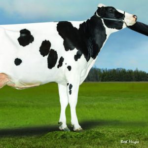 Denovo 7545 Diversity-ET - Semen - Convencional - Leite - Holandês