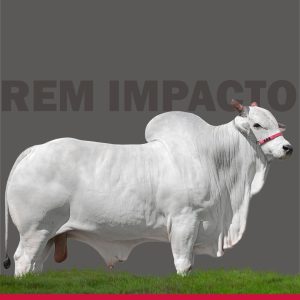 Rem Impacto Genetica Aditiva