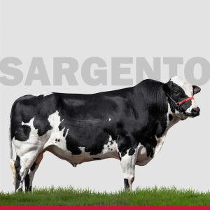 Sargento Canela -Semen Convencional - Girolando