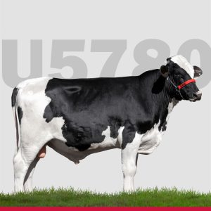 U5780 Niusha Sargento - Semen - Sexado - Femea- Girolando